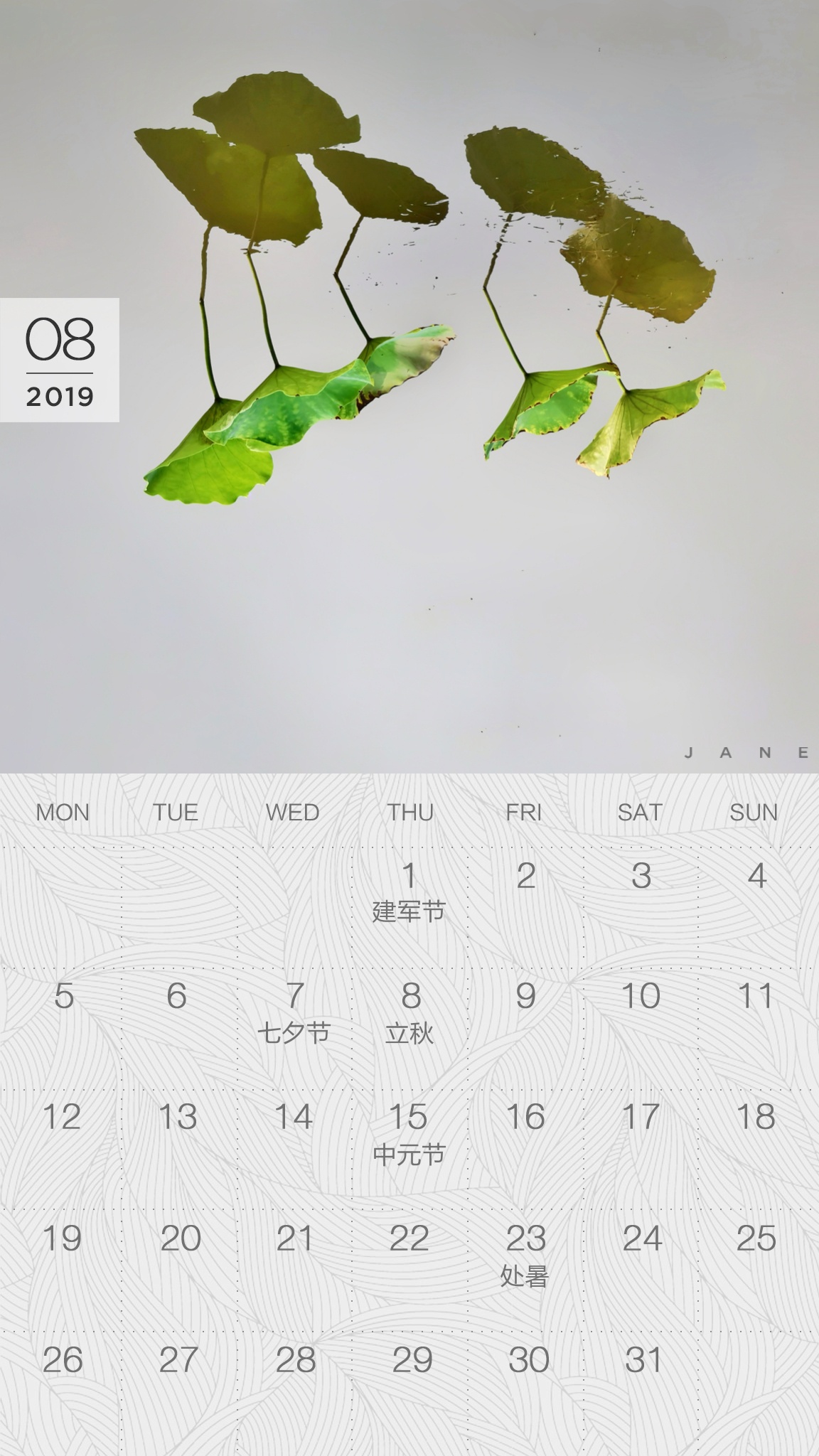 送你一张凉快动态壁纸,大暑送你清凉壁纸