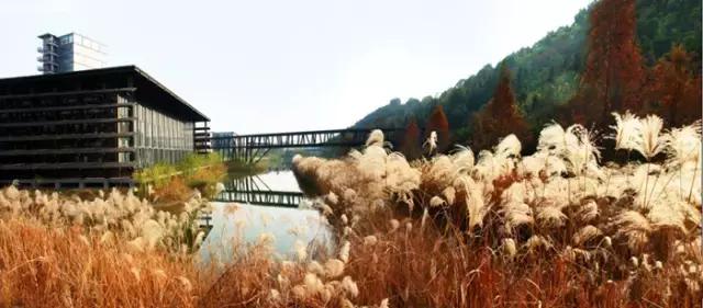 杭州新玩法,杭州人少最值得玩的地方