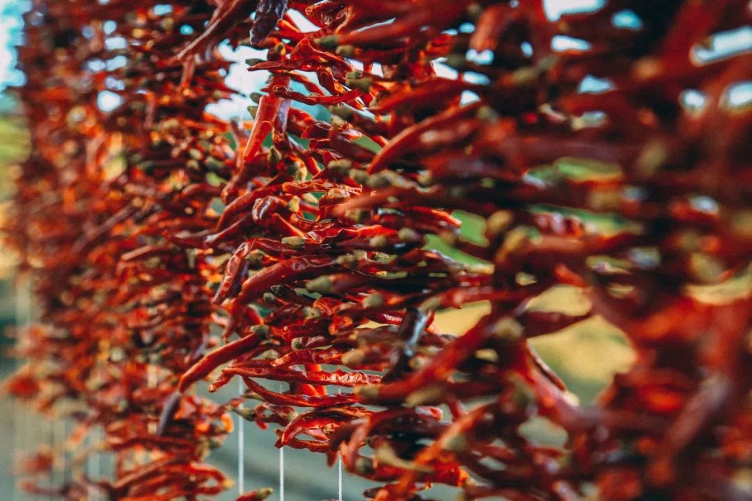 徽州赏秋三日游自驾游攻略,小众徽州赏秋村落