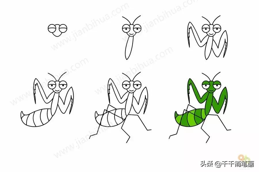 3-6岁儿童动物画入门教程,幼儿园动物画大全最简单