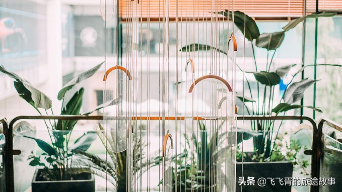 一分钟带你吃遍成都网红美食,成都必吃十大网红餐厅