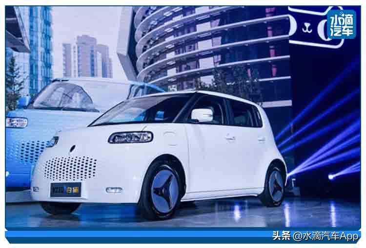 突然伪潮流的欧拉，能成为一只好猫么？