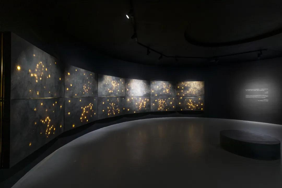 王绍强双年展,王绍强作品展