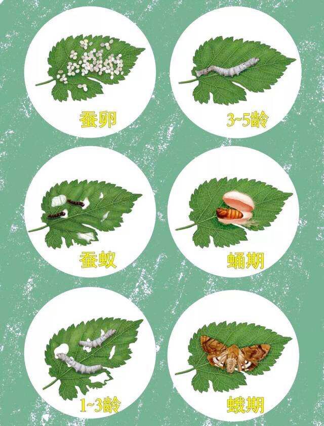 铏叮鍘熸枃,铏叮浣滃搧