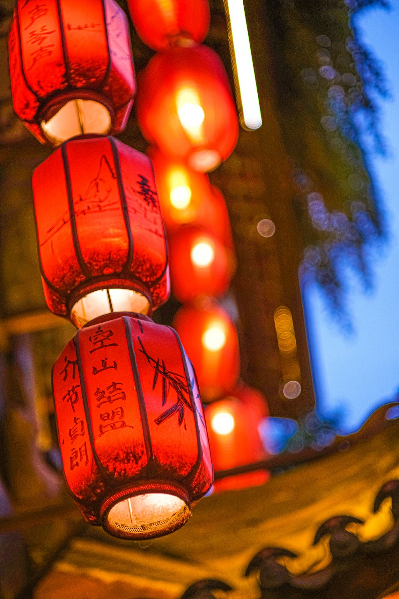 体验大光圈,七工匠55mmf1.4评测