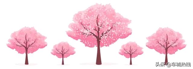 十堰最美的姑娘,十堰茅箭女人抖音