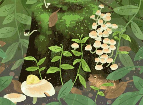 50句唯美动人的诗词送给您,生日十句经典诗句古诗