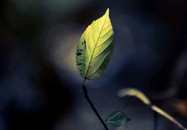 看透人心心酸的说说道尽人性冷暖,看透人心醒悟的句子说说