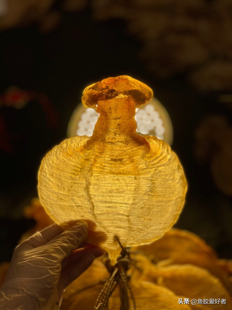 油炸鱼胶正确的泡发方法,潮汕人鱼胶正确的泡发方法