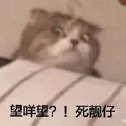 “做公关被长辈认为是陪酒女…”网友评论扎心了！