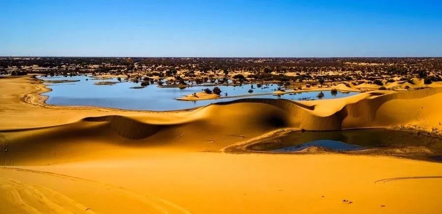 额济纳戈壁滩记录,额济纳戈壁滩沙漠