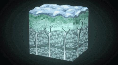 精油入门必备护肤品,平价单方精油推荐面部