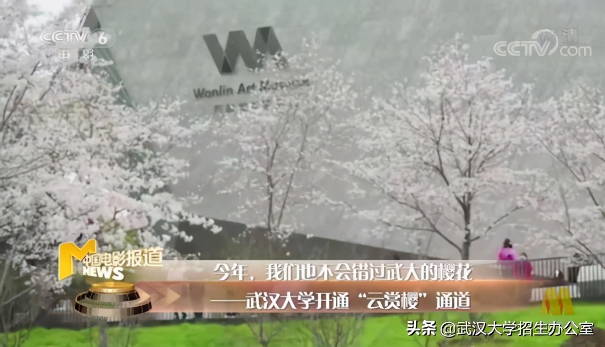 中央电视台13套在线回看武汉大学,中央电视台有直播武汉大学的吗