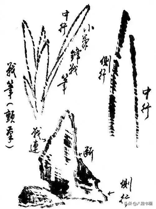 小写意花鸟画笔法,小写意花鸟画笔墨技法与创作