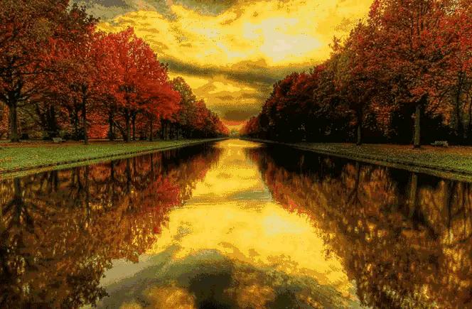 枫叶的美文,枫叶散文