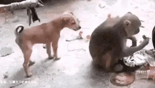 费玉清说唱视频大全,费玉清叶瑷菱说唱完整版