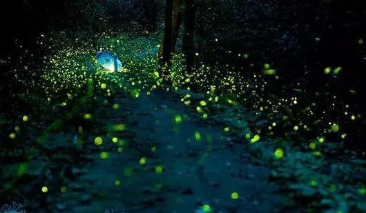 沙巴仙境一日游,沙巴室内一日游