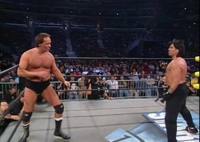 wwe比赛阿里,wwe拳王霍利菲尔德