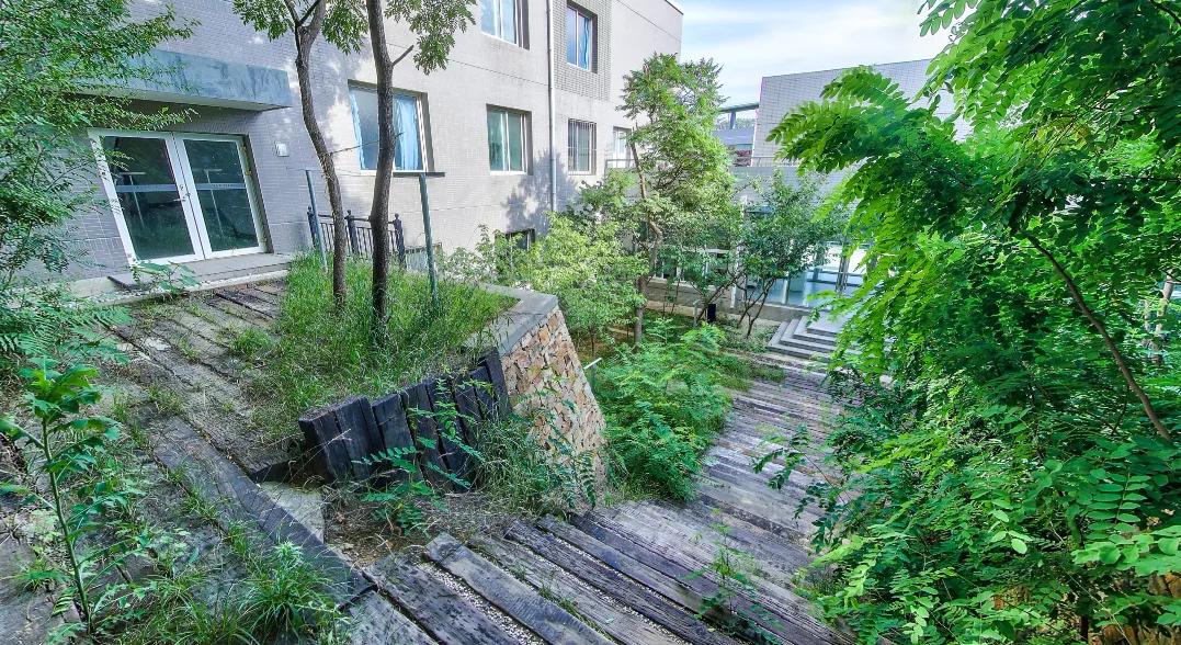 辽宁省民办大学（二）大连东软信息学院