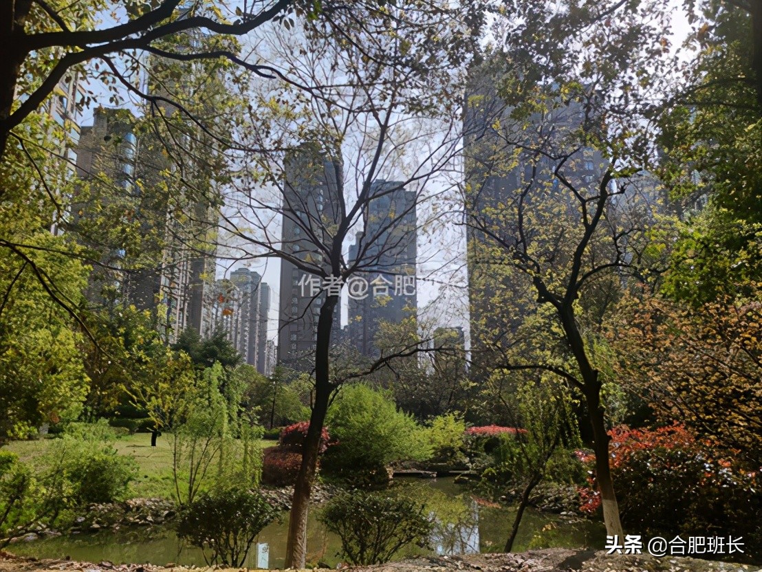 合肥水景房推荐,合肥绿地海顿公馆是住宅吗