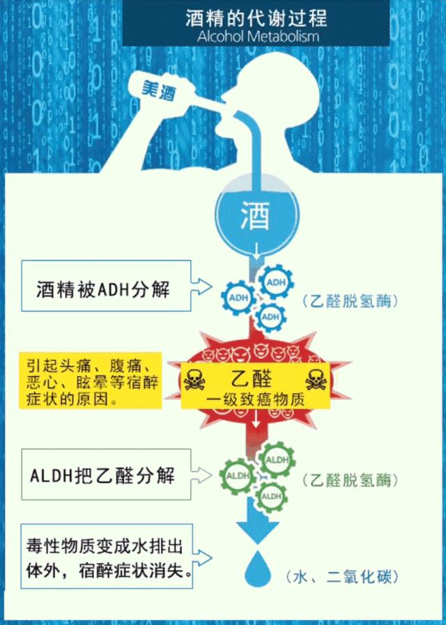 聚餐喝酒喝多了怎么解酒,聚会喝酒解酒神器