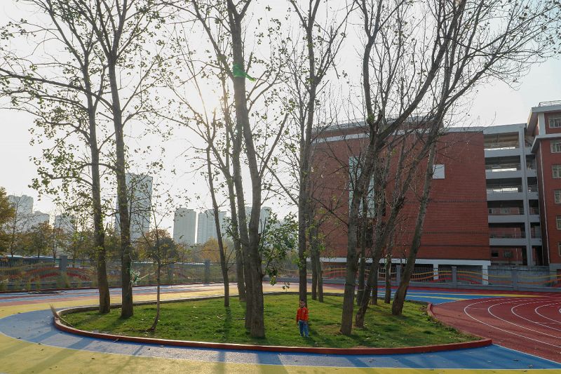 西海岸新区十大最好的小学,西海岸top10小学