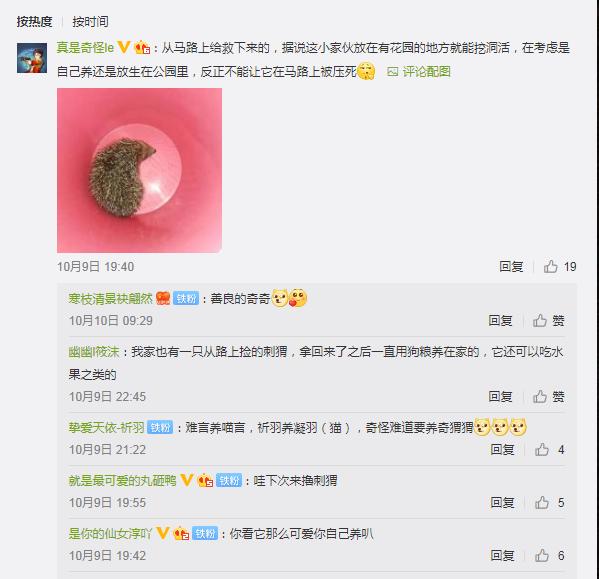 遇到被遗弃的刺猬该怎么办?奇怪君选择了这样做