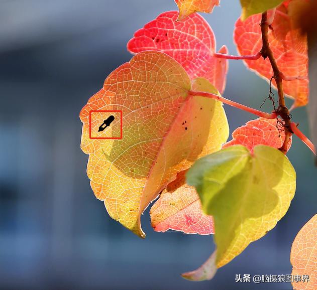 ps摄影后期软件工具使用教程,摄影ps后期工具栏设置