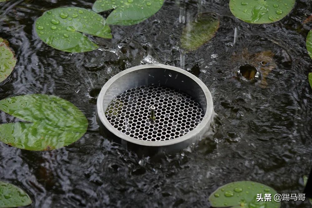 appletv出品的电影,appletv出品