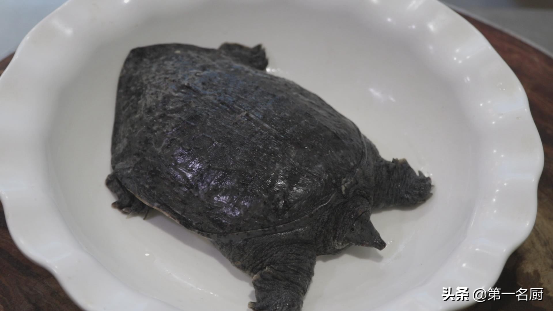 甲鱼怎么做好吃营养又简单,甲鱼怎么做才好吃又简单