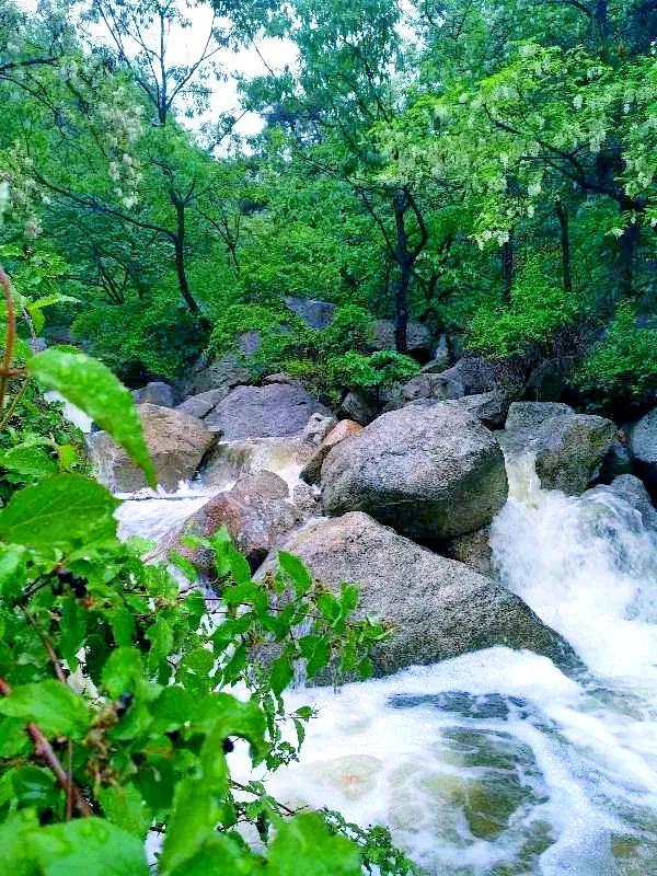 媲美四川九寨沟！山东这些地方野趣十足，承包夏天90%的清凉！