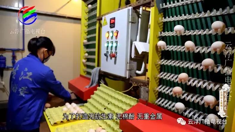 家在罗定丨勇于开拓、敢于奋斗的罗定人！