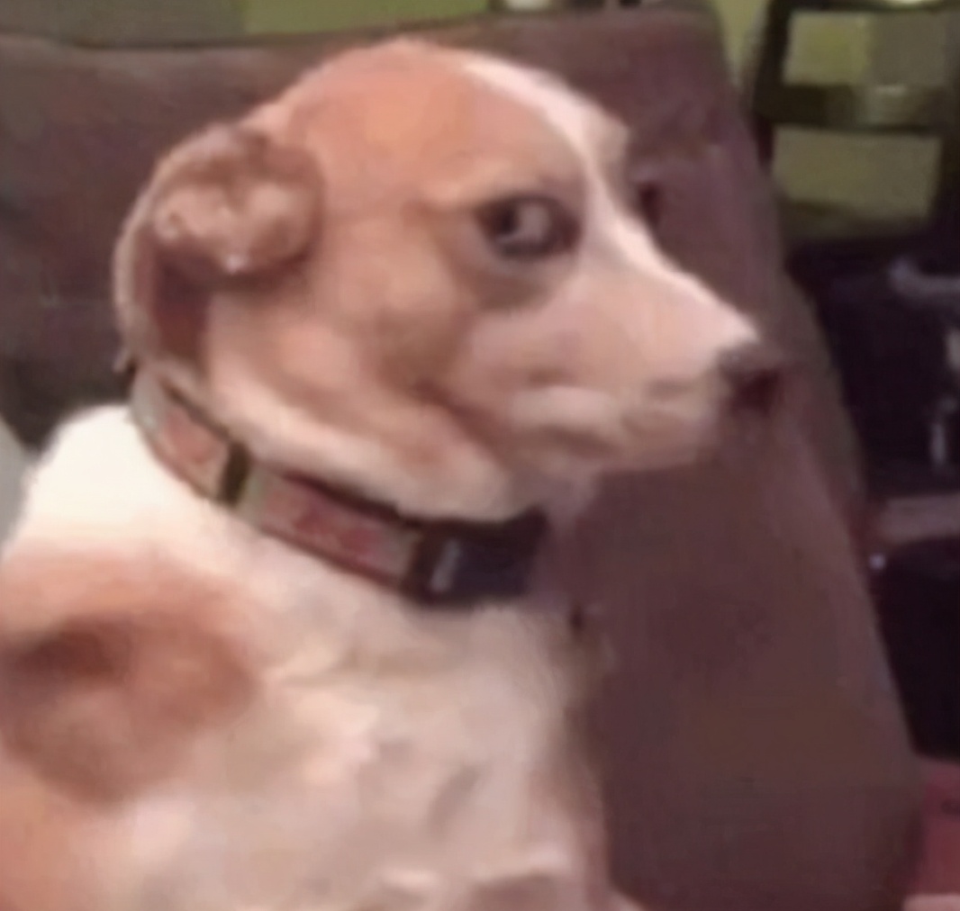 有炎症有异味白带异常,私部有异味白带增多可用甲硝唑吗