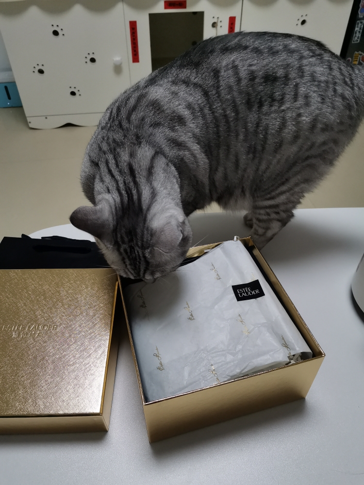 雅诗兰黛小棕瓶紧致精华,雅诗兰黛小棕瓶肌透修护眼部精华