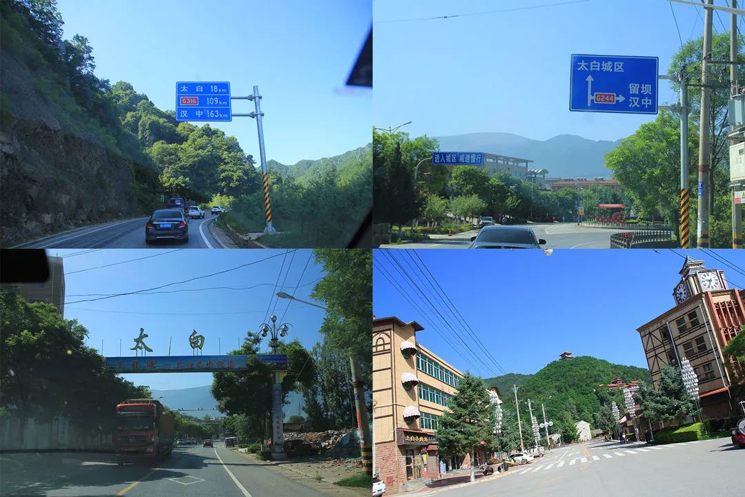 学会这3个小方法轻松买到真蜂蜜,一分钟带你如何辨别蜂蜜