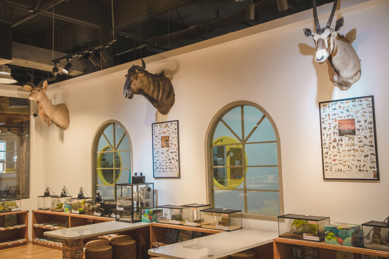 深圳有什么乐园小朋友玩,深圳比较好玩儿的游乐场