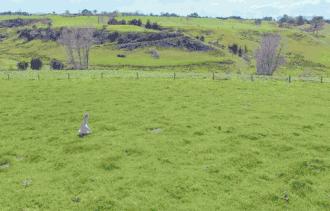 西安亲子农场庄园,西安亲子庄园