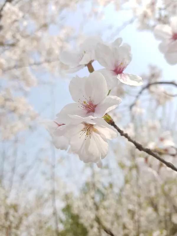 2022年世界手机摄影大赛征稿,手拍世界摄影网