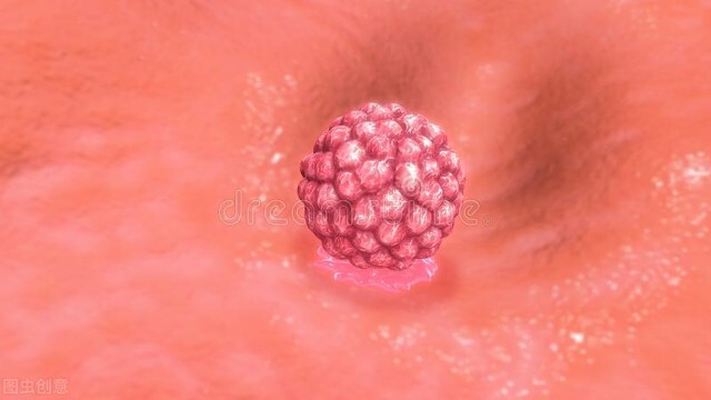 备孕快速怀孕经历,34岁高龄备孕自然怀孕成功经验