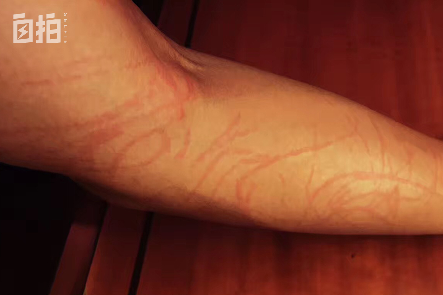 我,离开体制经商,巅峰时赚1000万买6套店铺,之后一切归零