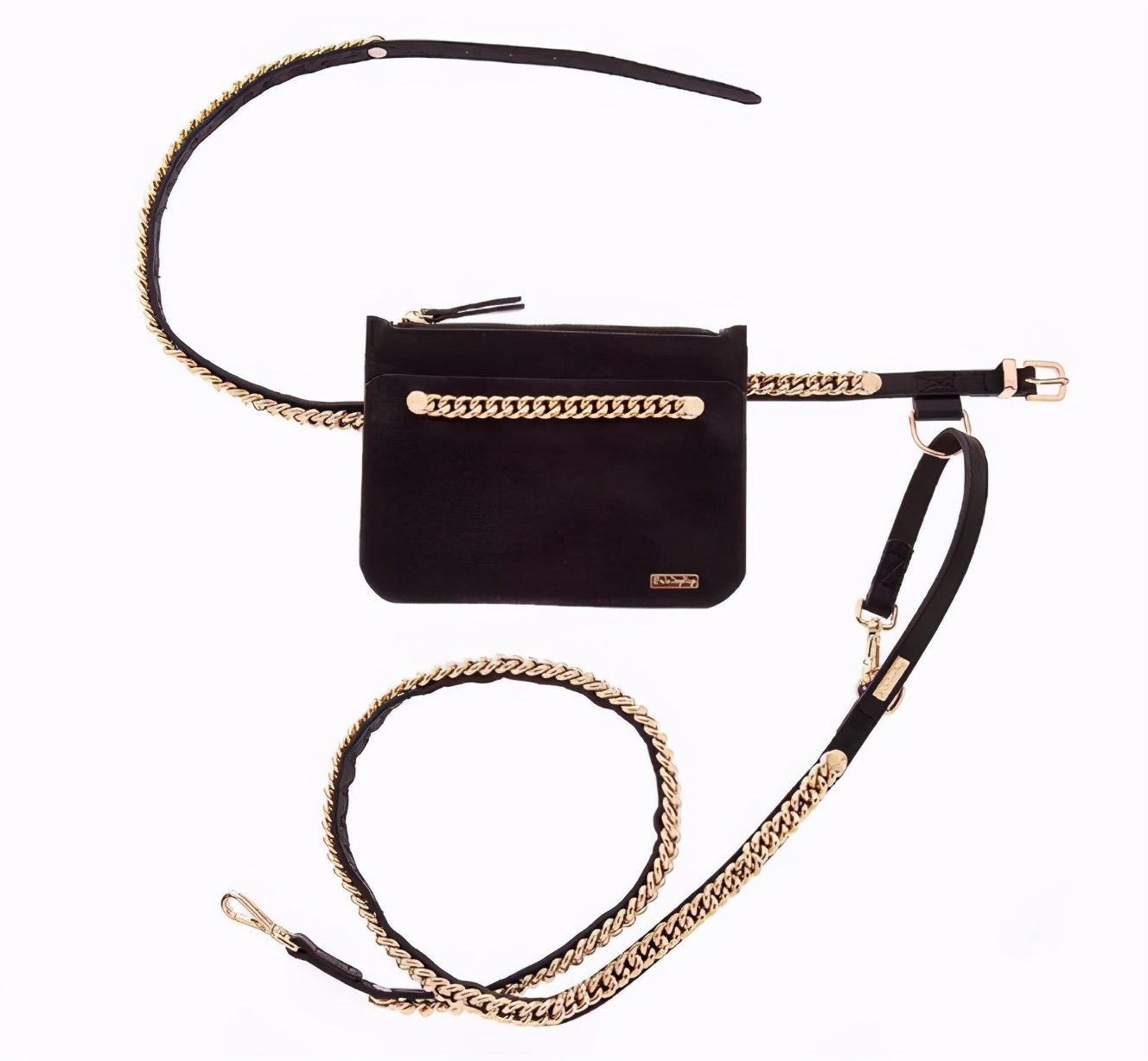 生活在宠物天堂的动物,在天堂的猫狗