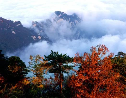 自由行华山一日游最佳路线,华山一日游最佳路线攻略步行图