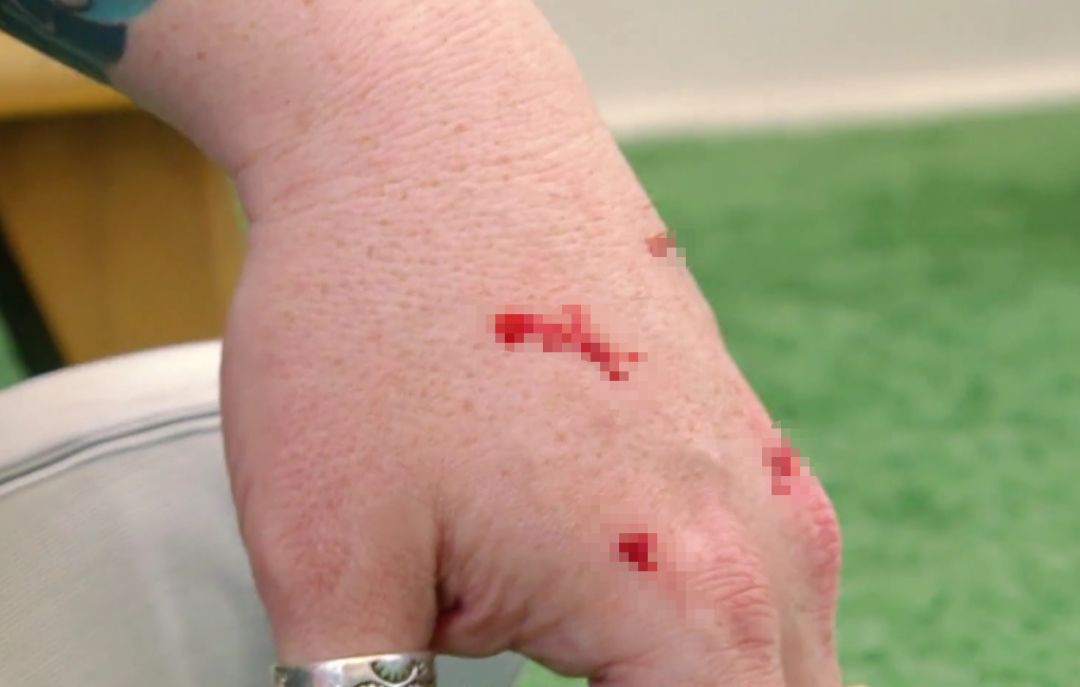 猫咪最不可以碰的地方是哪里,猫咪最不能碰的几个地方