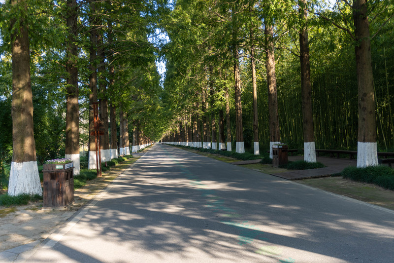 森林麋鹿公园,森林麋鹿