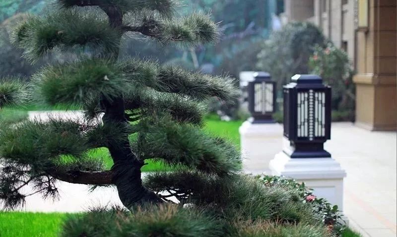 武汉的城市之心在哪,武汉的古都之城