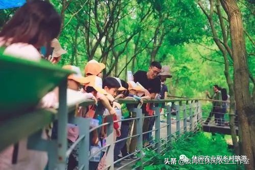 疫情过后，乡村这4个新产业赚钱肯定不比外去打工差