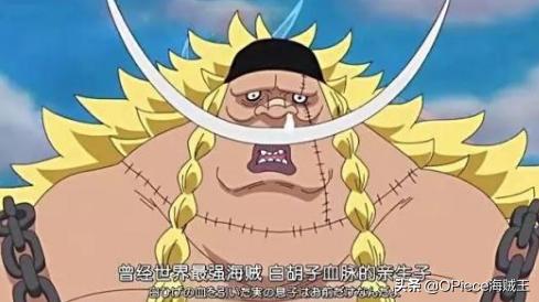 王下七武海鹰眼米霍克巨燃片段,新旧王下七武海分别都是谁