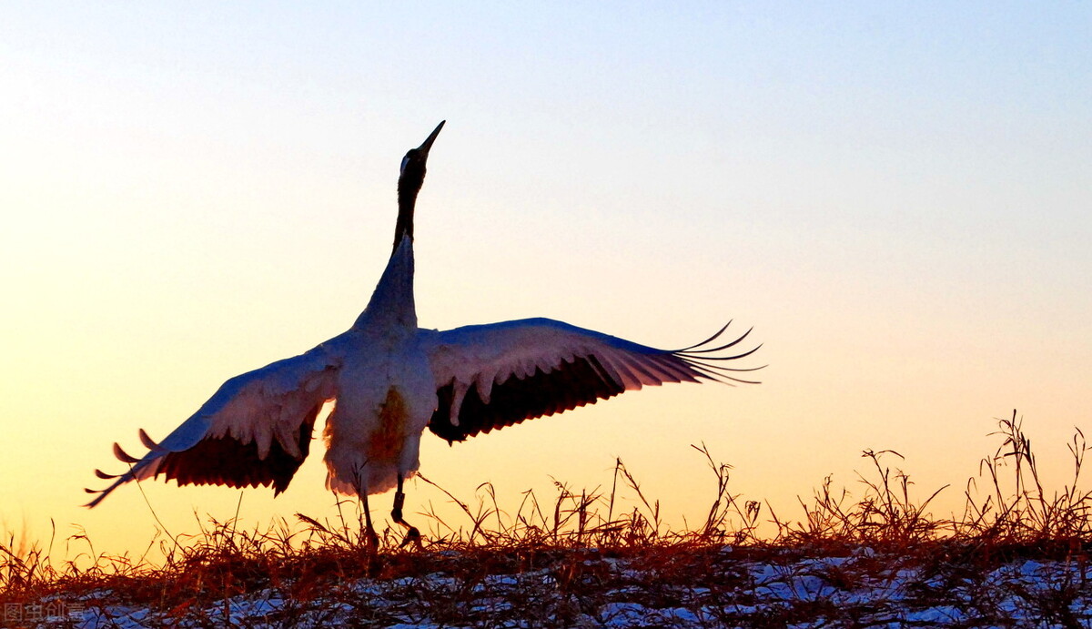 女直人迤北人迤西人山后人锦衣卫非明实录