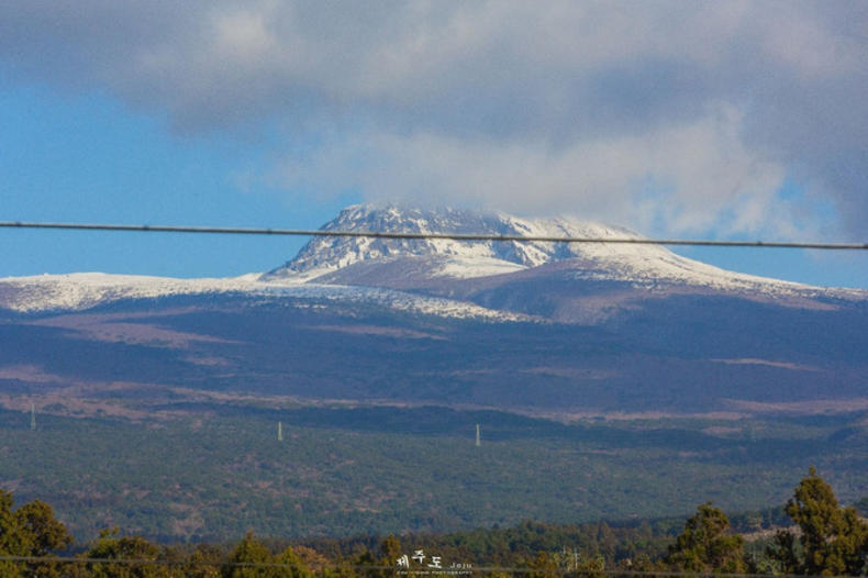 济州岛四天三夜旅行攻略,3天2夜济州岛旅行