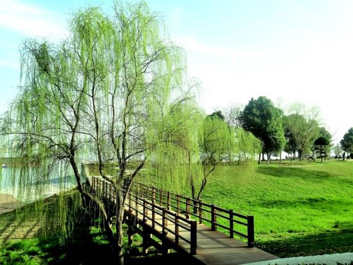 李白哪一首诗超过崔颢,李白的哪首诗超越了崔浩的黄鹤楼